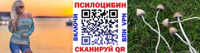 Псилоцибиновые грибы Psilocybine cubensis  Купить  Хилок 