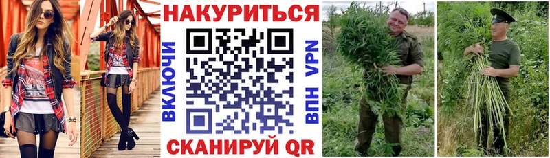 Купить где  Хилок  МАРИХУАНА THC 21% 